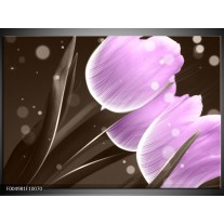 Glas schilderij Tulp | Paars, Grijs 