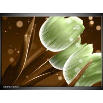 Glas schilderij Tulp | Groen, Bruin 