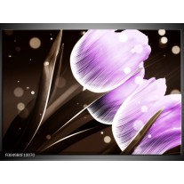 Foto canvas schilderij Tulp | Paars, Bruin 