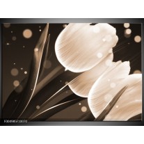 Foto canvas schilderij Tulp | Wit, Grijs 