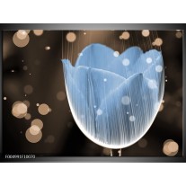 Foto canvas schilderij Tulp | Blauw, Grijs 