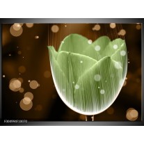 Foto canvas schilderij Tulp | Groen, Bruin 