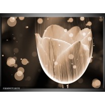 Glas schilderij Tulp | Grijs, Zwart