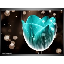 Foto canvas schilderij Tulp | Blauw, Zwart 