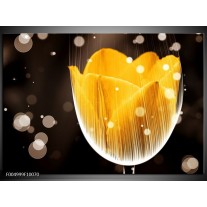 Glas schilderij Tulp | Geel, Bruin