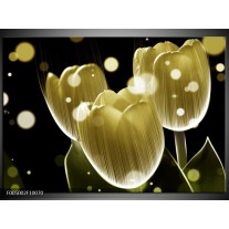 Foto canvas schilderij Tulp | Geel, Zwart 