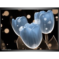 Foto canvas schilderij Tulp | Blauw, Zwart 