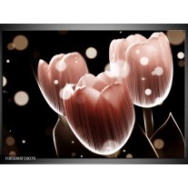 Foto canvas schilderij Tulp | Bruin, Zwart 