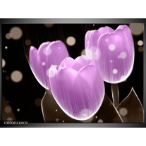 Foto canvas schilderij Tulp | Paars, Zwart 