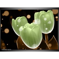 Foto canvas schilderij Tulp | Groen, Zwart 