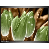 Foto canvas schilderij Tulp | Groen, Bruin 