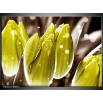 Foto canvas schilderij Tulp | Geel, Grijs 