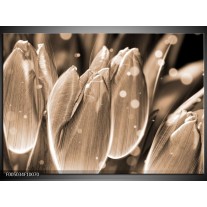 Foto canvas schilderij Tulp | Grijs, Zwart 