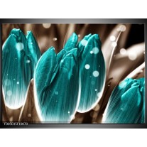 Glas schilderij Tulp | Blauw, Grijs 