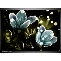 Foto canvas schilderij Krokus | Blauw, Groen 