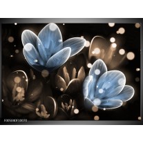 Glas schilderij Bloem | Blauw, Grijs 