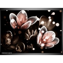 Foto canvas schilderij Bloem | Rood, Grijs 