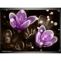 Foto canvas schilderij Bloem | Paars, Grijs 