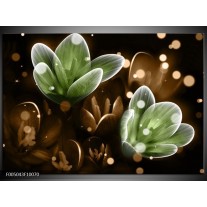 Glas schilderij Bloem | Groen, Bruin 