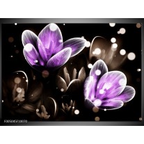 Foto canvas schilderij Bloem | Paars, Grijs 