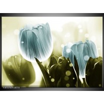 Glas schilderij Tulp | Blauw, Groen 
