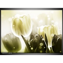 Foto canvas schilderij Tulp | Wit, Grijs 