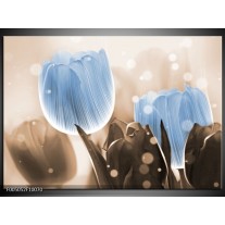Glas schilderij Tulp | Blauw, Grijs 