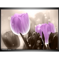 Foto canvas schilderij Tulp | Paars, Grijs 