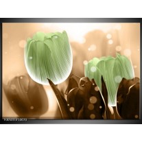 Foto canvas schilderij Tulp | Groen, Bruin 