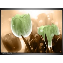 Glas schilderij Tulp | Groen, Bruin 