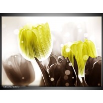 Glas schilderij Tulp | Geel, Grijs 