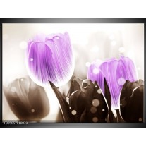 Foto canvas schilderij Tulp | Paars, Grijs 