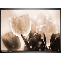 Foto canvas schilderij Tulp | Grijs, Bruin, Zwart 