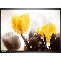 Foto canvas schilderij Tulp | Geel, Grijs 