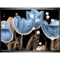 Glas schilderij Tulp | Blauw, Grijs, Zwart 