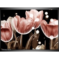 Foto canvas schilderij Tulp | Bruin, Zwart 