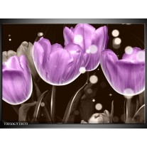 Foto canvas schilderij Tulp | Paars, Grijs 