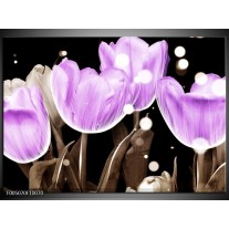 Foto canvas schilderij Tulp | Paars, Grijs 