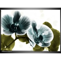 Foto canvas schilderij Orchidee | Blauw, Groen 