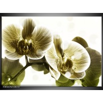 Foto canvas schilderij Orchidee | Grijs, Wit 