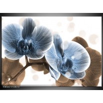 Glas schilderij Orchidee | Blauw, Grijs 