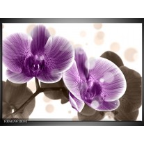 Foto canvas schilderij Orchidee | Paars, Wit 