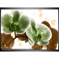 Glas schilderij Orchidee | Groen, Bruin 