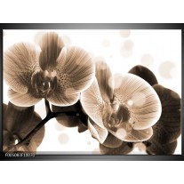 Foto canvas schilderij Orchidee | Grijs, Wit 