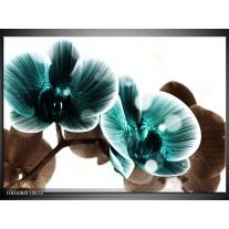 Glas schilderij Orchidee | Groen, Wit 