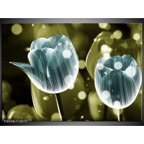 Foto canvas schilderij Tulp | Blauw, Groen 