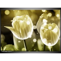 Foto canvas schilderij Tulp | Wit, Grijs 