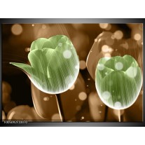 Foto canvas schilderij Tulp | Groen, Bruin 