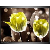 Foto canvas schilderij Tulp | Geel, Grijs 