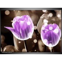 Foto canvas schilderij Tulp | Paars, Grijs 